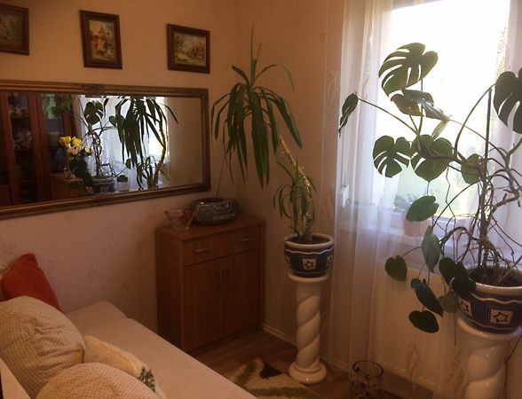 Eladó lakás Keszthely, Nyugati városrész 13. kép