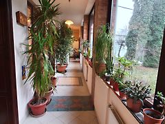 Eladó ház Szeged, Rókus 6. kép