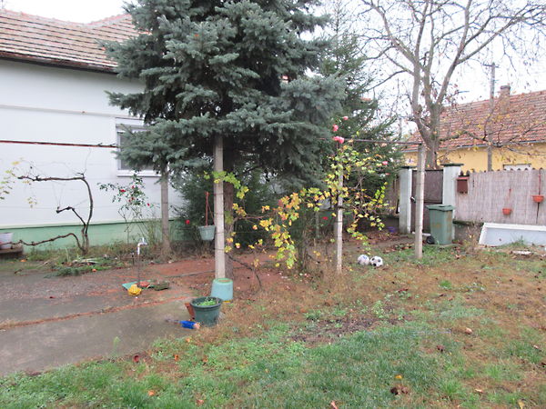 Eladó ház Szeged, Kiskundorozsma 14. kép
