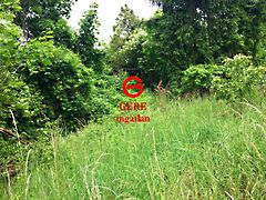 Eladó földterület Vác, Deákvár 5. kép