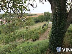 Eladó ház Pécs, Újhegy 3. kép
