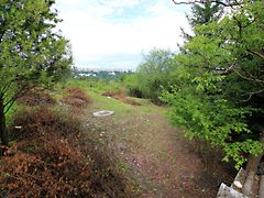 Eladó földterület Miskolc, Tapolca 4. kép