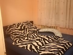 Kiadó lakás Székesfehérvár, Palotaváros 4. kép