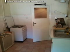 Kiadó lakás Székesfehérvár, Belváros 2. kép
