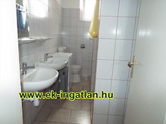 Kiadó ház Adony 3. kép