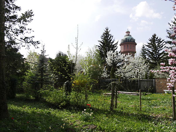 Kiadó ház Szombathely 2. kép