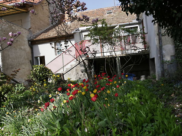 Kiadó ház Szombathely 21. kép