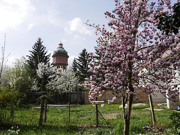 Kiadó ház Szombathely 24. kép