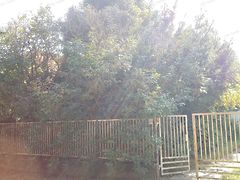 Eladó nyaraló Baracs 4. kép