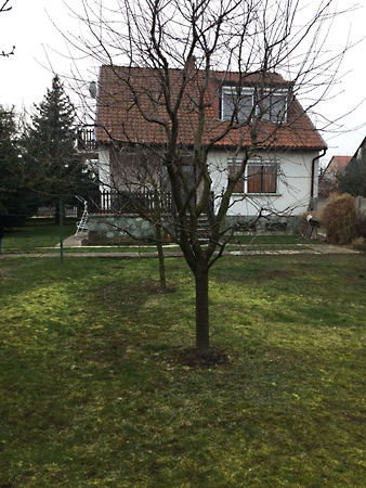 Eladó ház Szombathely, Gyöngyöshermán 16. kép