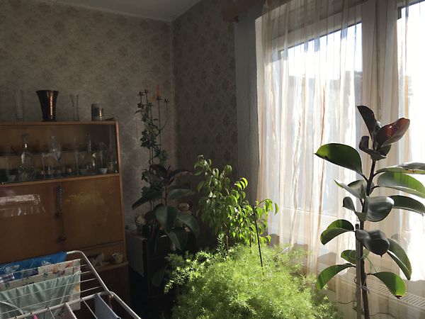 Eladó ház Debrecen 5. kép