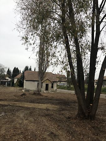 Eladó ház Diósjenő 1. kép