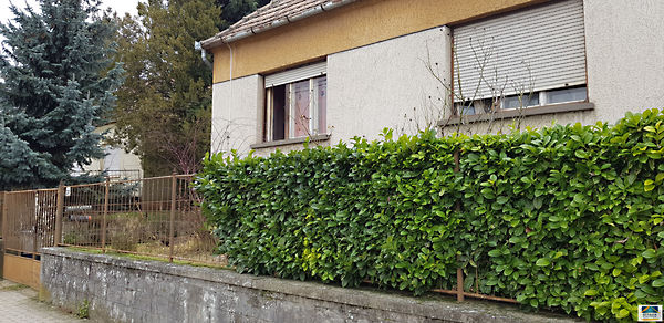 Eladó ház Alsópáhok 3. kép
