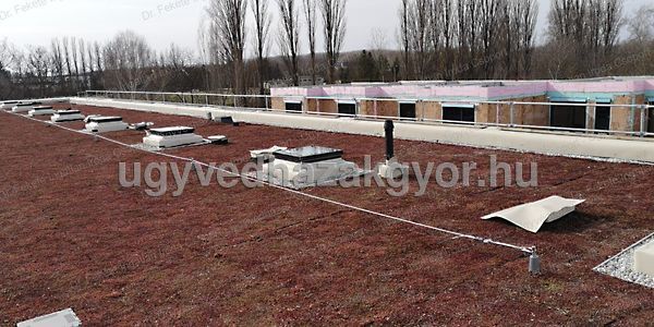 Eladó ház Győr, Révfalu 13. kép