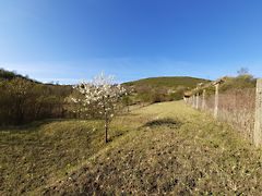 Eladó nyaraló Esztergom, Bírórét-dűlő 2. kép