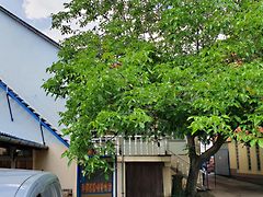 Eladó ház Szeged, Rókus 5. kép