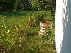 Eladó nyaraló Adony 4. kép