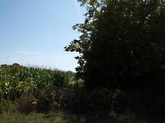 Eladó földterület Mohács 3. kép