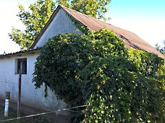 Eladó ház Szigetvár, Zsibót - szőlőhegy 2. kép