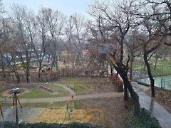 Kiadó lakás Debrecen, Belváros 6. kép