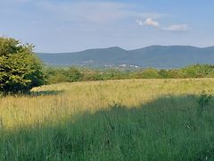 Eladó földterület Pilismarót, Basaharc 4. kép
