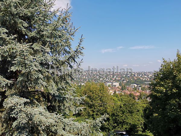 Kiadó ház Budapest, XII. kerület, Istenhegy 1. kép