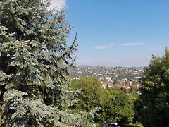 Kiadó ház Budapest, XII. kerület, Istenhegy 5. kép
