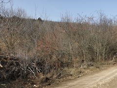 Eladó földterület Balatonalmádi, Újhegy 3. kép