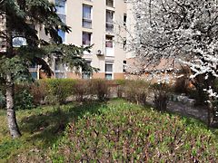 Eladó lakás Budapest, XIX. kerület, Kispest 2. kép