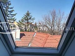 Kiadó lakás Veszprém 4. kép