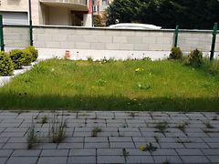 Kiadó lakás Győr, Révfalu 4. kép