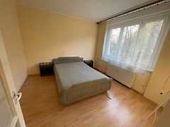 Kiadó lakás Szeged, Felsőváros 3. kép