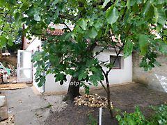 Eladó ház Pécs 5. kép