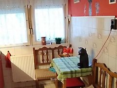 Eladó ház Pécs 5. kép