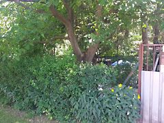 Eladó ház Miskolc, Belváros 6. kép