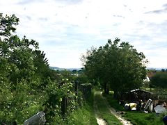 Eladó földterület Esztergom, Diósvölgy 3. kép