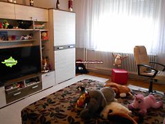 Eladó ház Napkor 5. kép