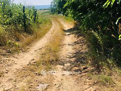 Eladó földterület Tapolca 4. kép