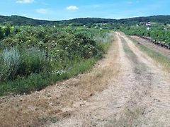 Eladó földterület Tagyon 4. kép