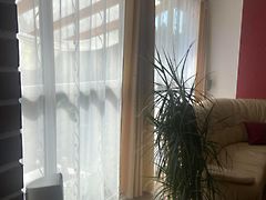 Eladó ház Baracs, Apátszállás 3. kép