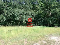 Eladó földterület Kismaros 6. kép