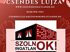 Kiadó lakás Szeged, Újrókus 5. kép