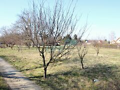 Eladó földterület Győr 3. kép
