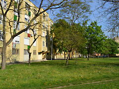 Eladó lakás Dorog, Zsigmondy lakótelep 2. kép