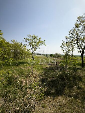 Eladó földterület Dunakeszi