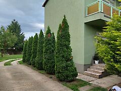 Eladó ház Gyula, Szentpálfalva