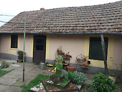 Eladó tanya Szatymaz