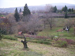 Eladó földterület Pécs, Donátus 4. kép