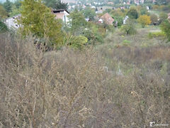Eladó földterület Győrújbarát 6. kép