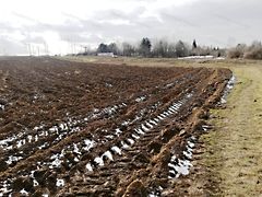 Eladó földterület Veszprém, Cholnokyváros
